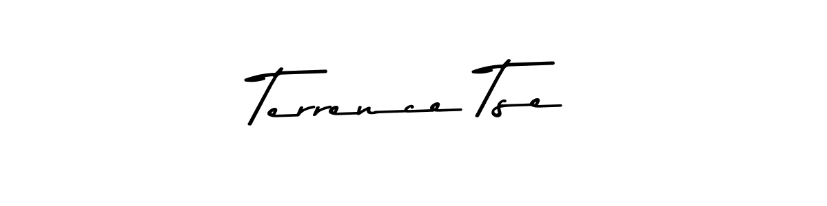 Make a beautiful signature design for name Terrence Tse. Use this online signature maker to create a handwritten signature for free. Terrence Tse signature style 9 images and pictures png