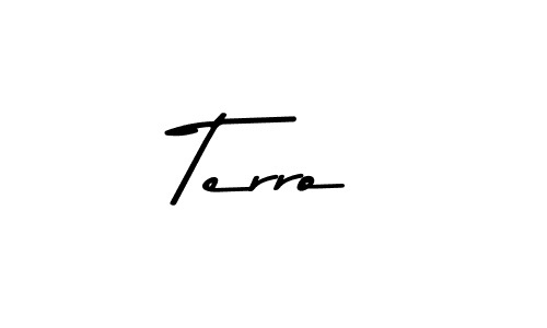 You should practise on your own different ways (Asem Kandis PERSONAL USE) to write your name (Terro) in signature. don't let someone else do it for you. Terro signature style 9 images and pictures png