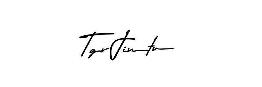 Tgr Jintu stylish signature style. Best Handwritten Sign (Asem Kandis PERSONAL USE) for my name. Handwritten Signature Collection Ideas for my name Tgr Jintu. Tgr Jintu signature style 9 images and pictures png