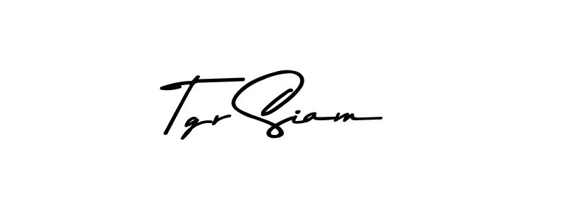 You should practise on your own different ways (Asem Kandis PERSONAL USE) to write your name (Tgr Siam) in signature. don't let someone else do it for you. Tgr Siam signature style 9 images and pictures png