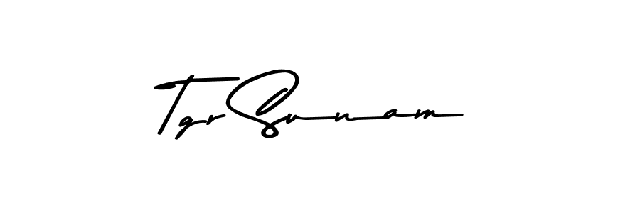 You should practise on your own different ways (Asem Kandis PERSONAL USE) to write your name (Tgr Sunam) in signature. don't let someone else do it for you. Tgr Sunam signature style 9 images and pictures png