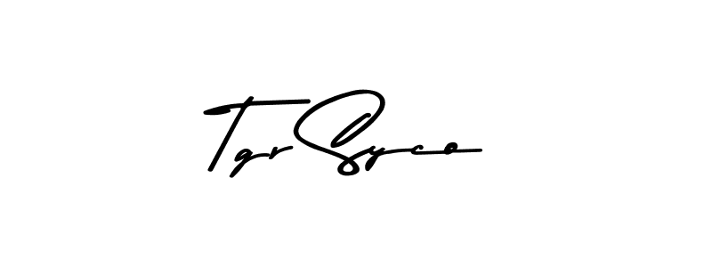 You should practise on your own different ways (Asem Kandis PERSONAL USE) to write your name (Tgr Syco) in signature. don't let someone else do it for you. Tgr Syco signature style 9 images and pictures png