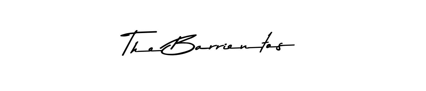 You should practise on your own different ways (Asem Kandis PERSONAL USE) to write your name (The Barrientos) in signature. don't let someone else do it for you. The Barrientos signature style 9 images and pictures png