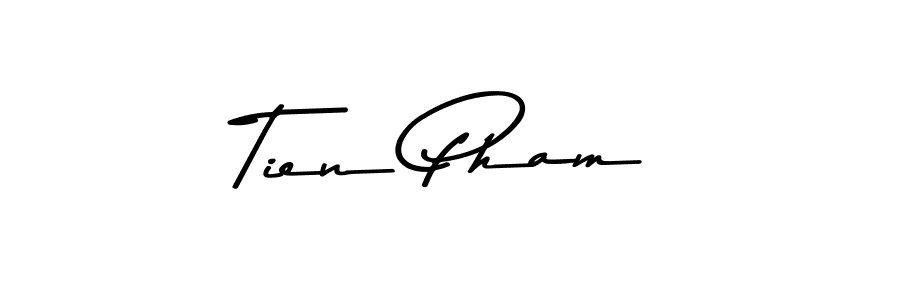 Tien Pham stylish signature style. Best Handwritten Sign (Asem Kandis PERSONAL USE) for my name. Handwritten Signature Collection Ideas for my name Tien Pham. Tien Pham signature style 9 images and pictures png