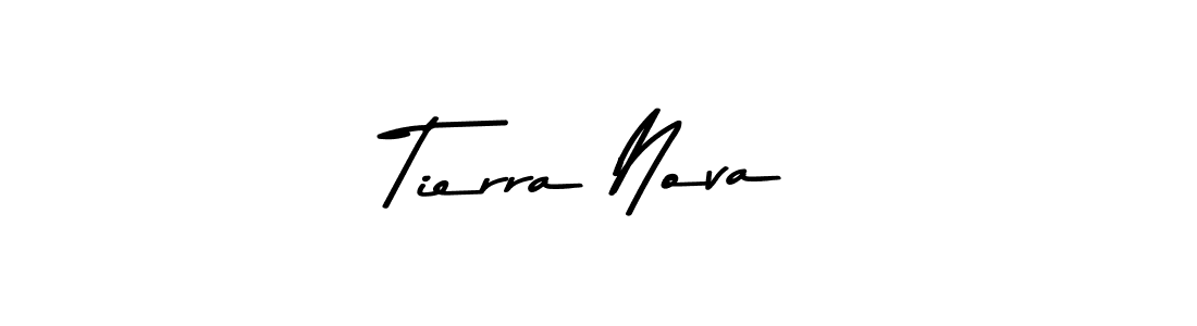 You should practise on your own different ways (Asem Kandis PERSONAL USE) to write your name (Tierra Nova) in signature. don't let someone else do it for you. Tierra Nova signature style 9 images and pictures png
