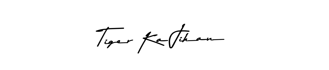 You should practise on your own different ways (Asem Kandis PERSONAL USE) to write your name (Tiger Ka Jihan) in signature. don't let someone else do it for you. Tiger Ka Jihan signature style 9 images and pictures png