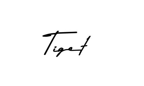 Similarly Asem Kandis PERSONAL USE is the best handwritten signature design. Signature creator online .You can use it as an online autograph creator for name Tiget. Tiget signature style 9 images and pictures png