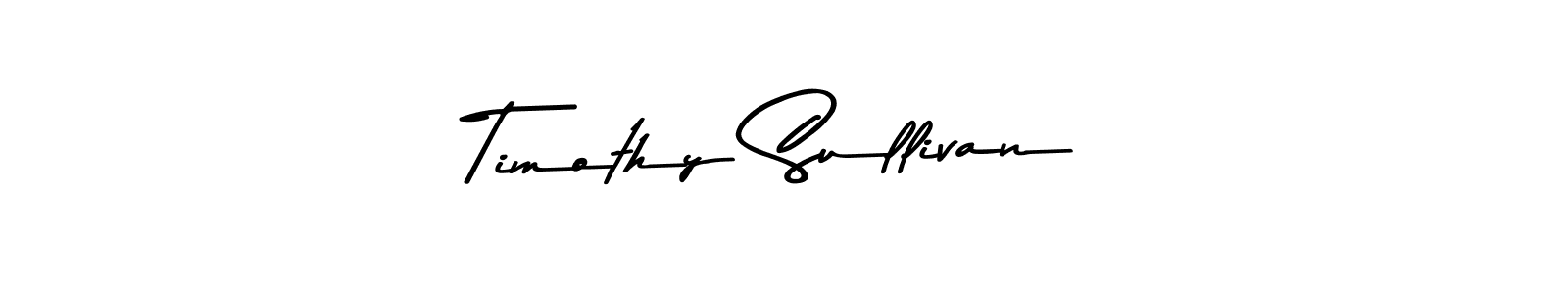 Similarly Asem Kandis PERSONAL USE is the best handwritten signature design. Signature creator online .You can use it as an online autograph creator for name Timothy Sullivan. Timothy Sullivan signature style 9 images and pictures png
