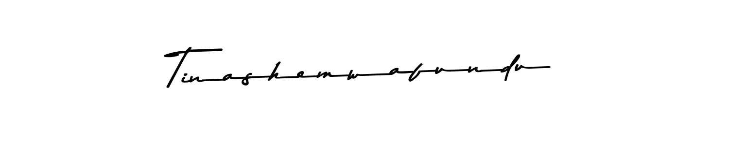 Similarly Asem Kandis PERSONAL USE is the best handwritten signature design. Signature creator online .You can use it as an online autograph creator for name Tinashemwafundu. Tinashemwafundu signature style 9 images and pictures png