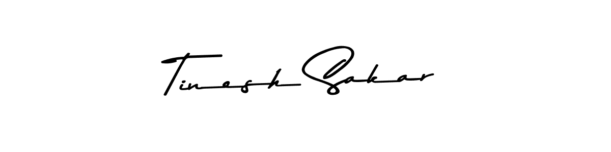 Here are the top 10 professional signature styles for the name Tinesh Sakar. These are the best autograph styles you can use for your name. Tinesh Sakar signature style 9 images and pictures png