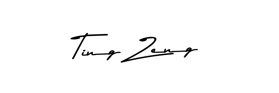 Ting Zeng stylish signature style. Best Handwritten Sign (Asem Kandis PERSONAL USE) for my name. Handwritten Signature Collection Ideas for my name Ting Zeng. Ting Zeng signature style 9 images and pictures png