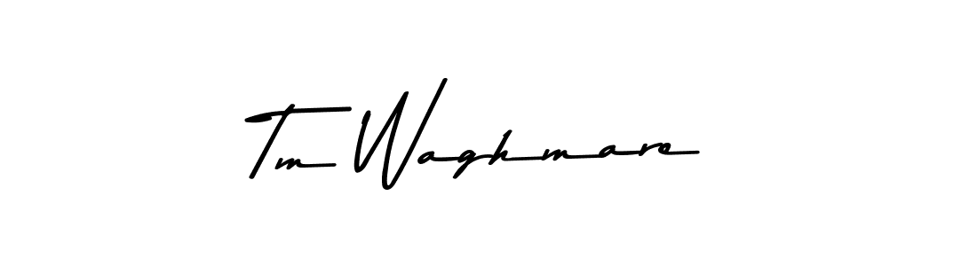 How to make Tm Waghmare signature? Asem Kandis PERSONAL USE is a professional autograph style. Create handwritten signature for Tm Waghmare name. Tm Waghmare signature style 9 images and pictures png
