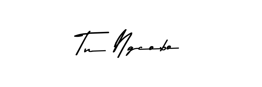 Make a beautiful signature design for name Tn Ngcobo. Use this online signature maker to create a handwritten signature for free. Tn Ngcobo signature style 9 images and pictures png