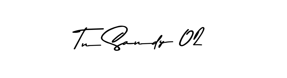 Design your own signature with our free online signature maker. With this signature software, you can create a handwritten (Asem Kandis PERSONAL USE) signature for name Tn Sandy 02. Tn Sandy 02 signature style 9 images and pictures png