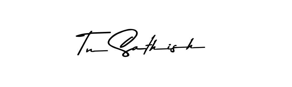 Make a beautiful signature design for name Tn Sathish. Use this online signature maker to create a handwritten signature for free. Tn Sathish signature style 9 images and pictures png