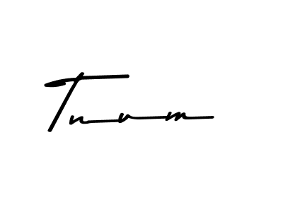 Here are the top 10 professional signature styles for the name Tnum. These are the best autograph styles you can use for your name. Tnum signature style 9 images and pictures png