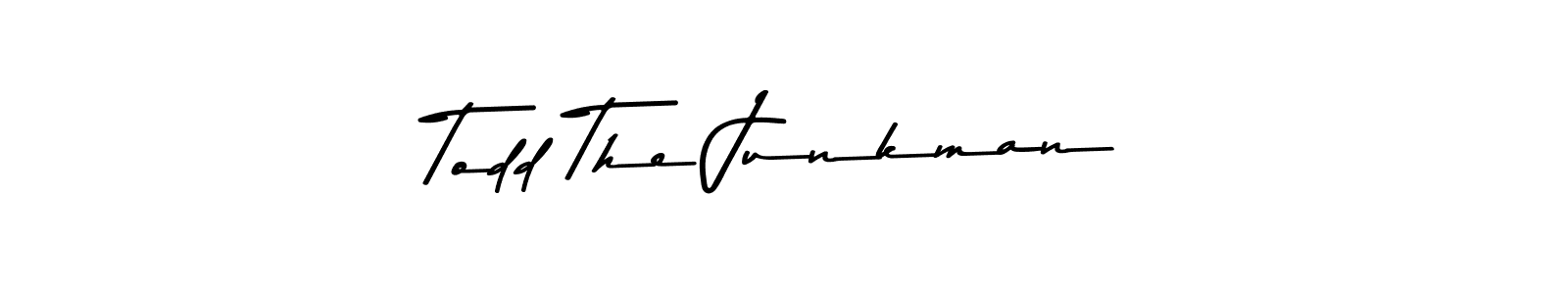 You should practise on your own different ways (Asem Kandis PERSONAL USE) to write your name (Todd The Junkman) in signature. don't let someone else do it for you. Todd The Junkman signature style 9 images and pictures png