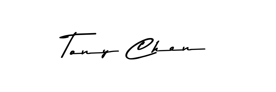 You should practise on your own different ways (Asem Kandis PERSONAL USE) to write your name (Tony Chen) in signature. don't let someone else do it for you. Tony Chen signature style 9 images and pictures png