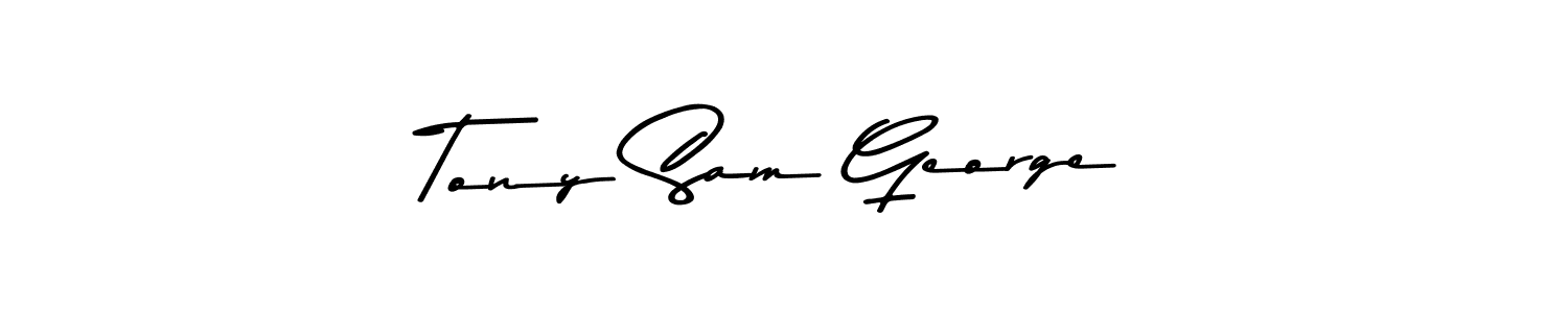 Also You can easily find your signature by using the search form. We will create Tony Sam George name handwritten signature images for you free of cost using Asem Kandis PERSONAL USE sign style. Tony Sam George signature style 9 images and pictures png