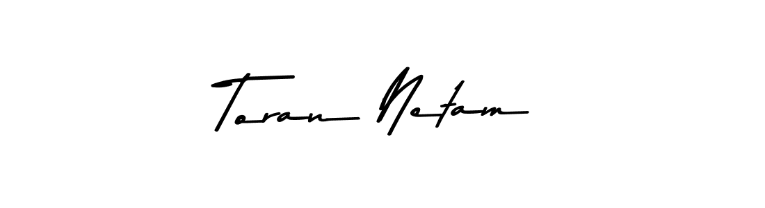 You should practise on your own different ways (Asem Kandis PERSONAL USE) to write your name (Toran Netam) in signature. don't let someone else do it for you. Toran Netam signature style 9 images and pictures png