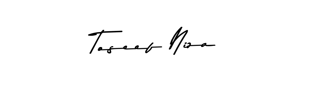 Best and Professional Signature Style for Toseef Niza. Asem Kandis PERSONAL USE Best Signature Style Collection. Toseef Niza signature style 9 images and pictures png