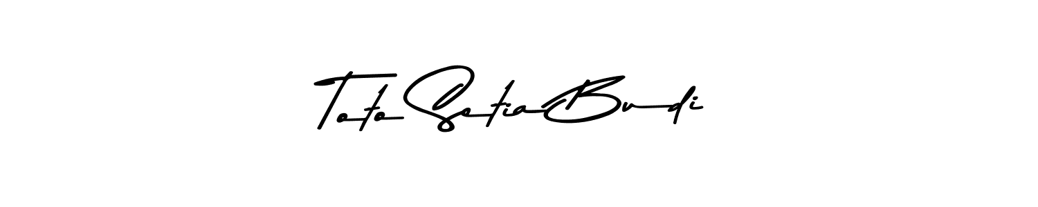 Also You can easily find your signature by using the search form. We will create Toto Setia Budi name handwritten signature images for you free of cost using Asem Kandis PERSONAL USE sign style. Toto Setia Budi signature style 9 images and pictures png