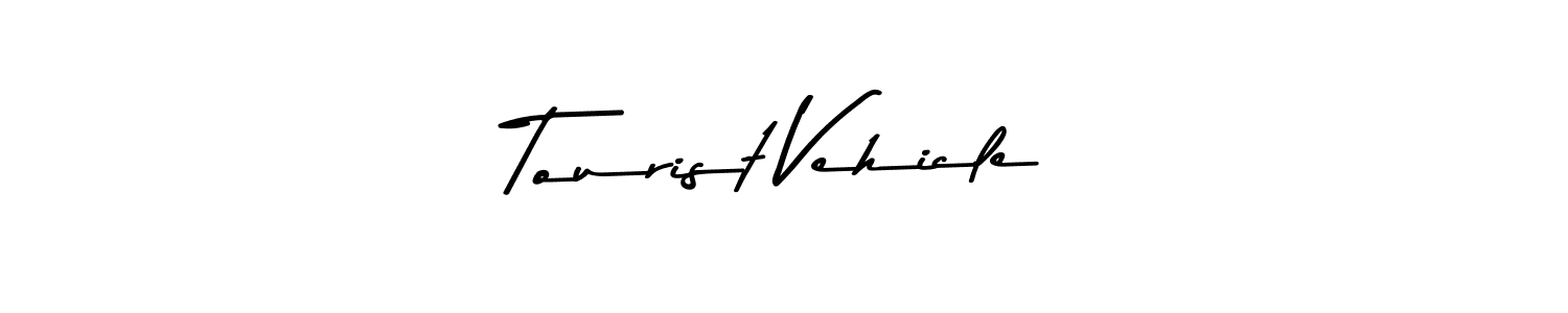 Similarly Asem Kandis PERSONAL USE is the best handwritten signature design. Signature creator online .You can use it as an online autograph creator for name Tourist Vehicle. Tourist Vehicle signature style 9 images and pictures png