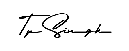 Looking for the ultimate eSignature for Tp Singh? Explore Asem Kandis PERSONAL USE font collection and download transparent PNGs in seconds. Tp Singh signature style 9 images and pictures png