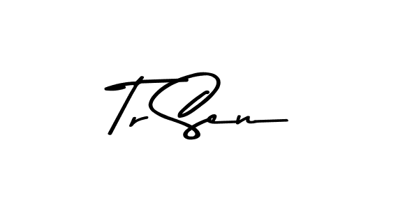 Similarly Asem Kandis PERSONAL USE is the best handwritten signature design. Signature creator online .You can use it as an online autograph creator for name Tr Sen. Tr Sen signature style 9 images and pictures png