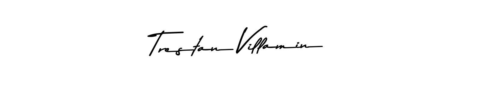 Make a beautiful signature design for name Trestan Villamin. Use this online signature maker to create a handwritten signature for free. Trestan Villamin signature style 9 images and pictures png