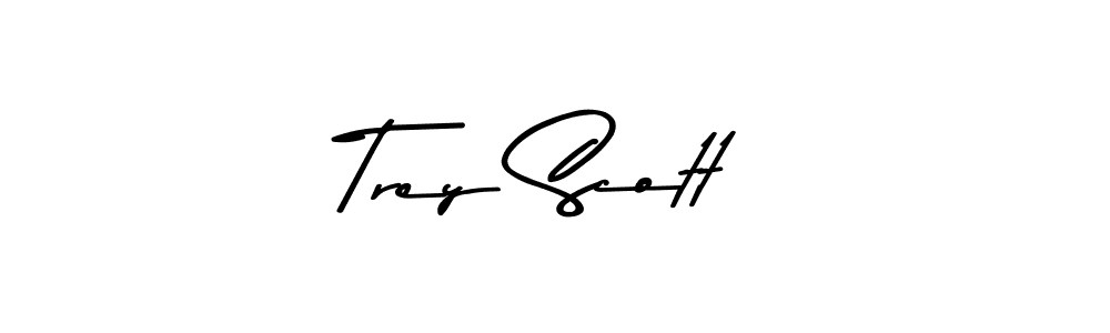 It looks lik you need a new signature style for name Trey Scott. Design unique handwritten (Asem Kandis PERSONAL USE) signature with our free signature maker in just a few clicks. Trey Scott signature style 9 images and pictures png