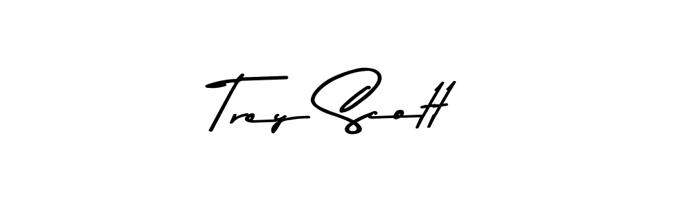 This is the best signature style for the Trey Scott name. Also you like these signature font (Asem Kandis PERSONAL USE). Mix name signature. Trey Scott signature style 9 images and pictures png