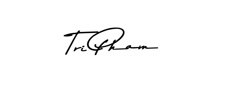 This is the best signature style for the Tri Pham name. Also you like these signature font (Asem Kandis PERSONAL USE). Mix name signature. Tri Pham signature style 9 images and pictures png