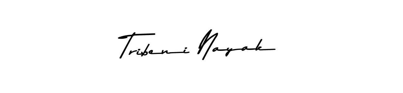 You should practise on your own different ways (Asem Kandis PERSONAL USE) to write your name (Tribeni Nayak) in signature. don't let someone else do it for you. Tribeni Nayak signature style 9 images and pictures png