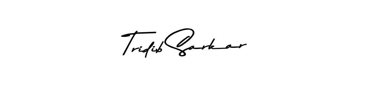 The best way (Asem Kandis PERSONAL USE) to make a short signature is to pick only two or three words in your name. The name Tridib Sarkar include a total of six letters. For converting this name. Tridib Sarkar signature style 9 images and pictures png