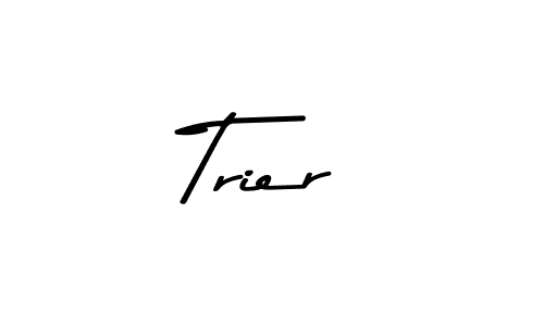 You can use this online signature creator to create a handwritten signature for the name Trier. This is the best online autograph maker. Trier signature style 9 images and pictures png