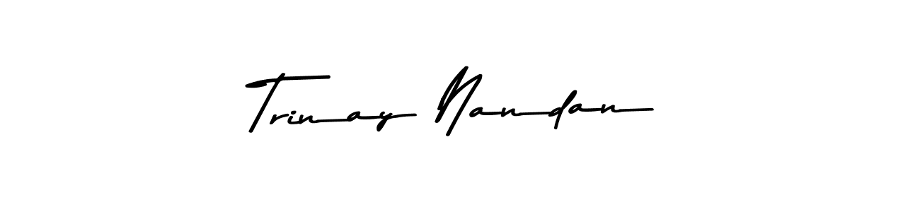 You should practise on your own different ways (Asem Kandis PERSONAL USE) to write your name (Trinay Nandan) in signature. don't let someone else do it for you. Trinay Nandan signature style 9 images and pictures png