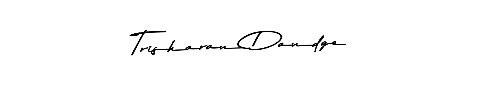 You should practise on your own different ways (Asem Kandis PERSONAL USE) to write your name (Trisharan Dandge) in signature. don't let someone else do it for you. Trisharan Dandge signature style 9 images and pictures png