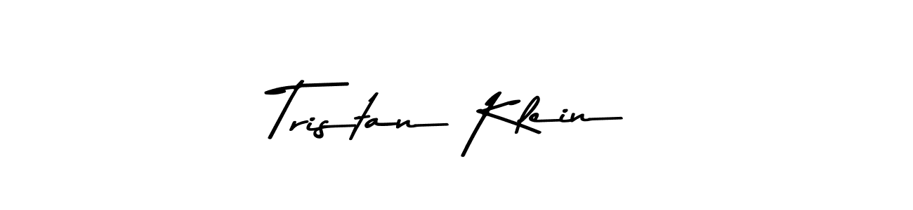 Make a beautiful signature design for name Tristan Klein. Use this online signature maker to create a handwritten signature for free. Tristan Klein signature style 9 images and pictures png