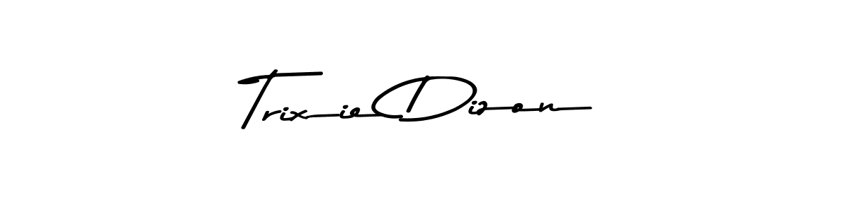 You should practise on your own different ways (Asem Kandis PERSONAL USE) to write your name (Trixie Dizon) in signature. don't let someone else do it for you. Trixie Dizon signature style 9 images and pictures png