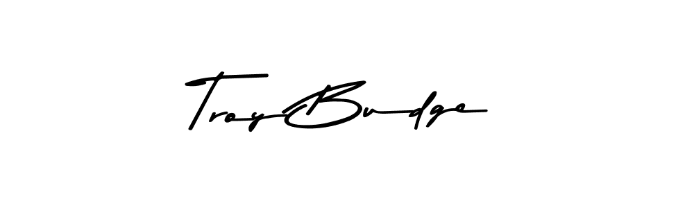Once you've used our free online signature maker to create your best signature Asem Kandis PERSONAL USE style, it's time to enjoy all of the benefits that Troy Budge name signing documents. Troy Budge signature style 9 images and pictures png