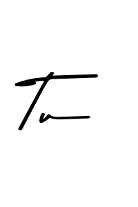 You should practise on your own different ways (Asem Kandis PERSONAL USE) to write your name (Tu) in signature. don't let someone else do it for you. Tu signature style 9 images and pictures png