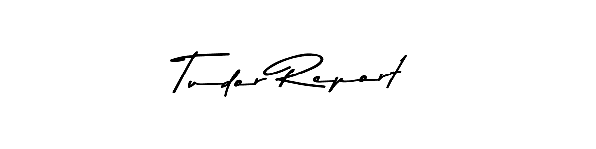 You should practise on your own different ways (Asem Kandis PERSONAL USE) to write your name (Tudor Report) in signature. don't let someone else do it for you. Tudor Report signature style 9 images and pictures png