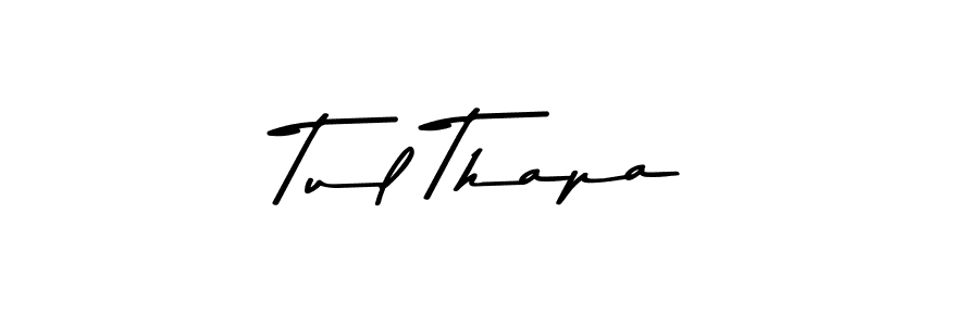 Make a beautiful signature design for name Tul Thapa. Use this online signature maker to create a handwritten signature for free. Tul Thapa signature style 9 images and pictures png