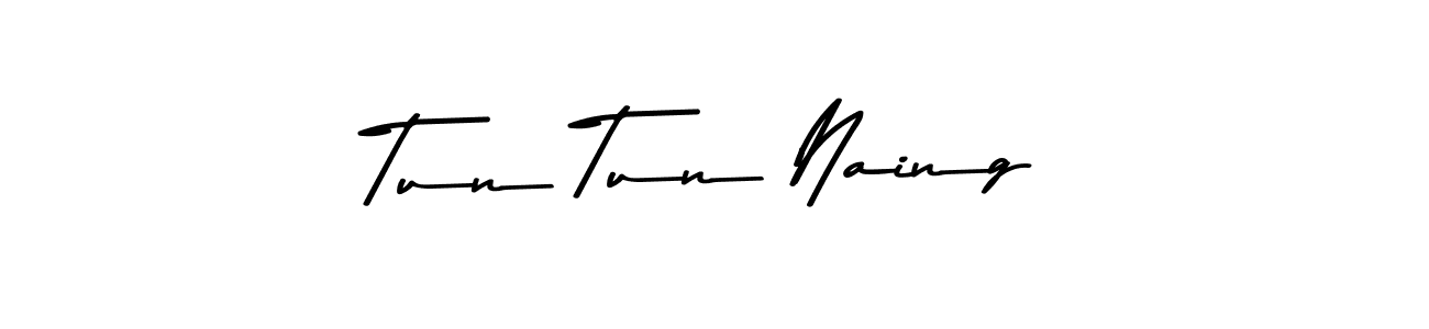 Also You can easily find your signature by using the search form. We will create Tun Tun Naing name handwritten signature images for you free of cost using Asem Kandis PERSONAL USE sign style. Tun Tun Naing signature style 9 images and pictures png