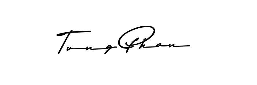 The best way (Asem Kandis PERSONAL USE) to make a short signature is to pick only two or three words in your name. The name Tung Phan include a total of six letters. For converting this name. Tung Phan signature style 9 images and pictures png
