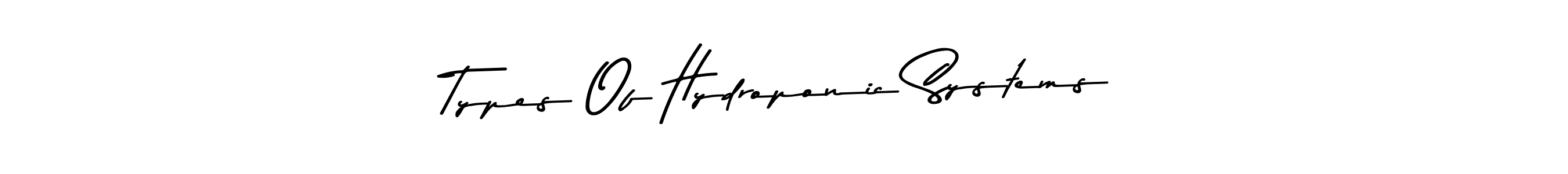 Also You can easily find your signature by using the search form. We will create Types Of Hydroponic Systems name handwritten signature images for you free of cost using Asem Kandis PERSONAL USE sign style. Types Of Hydroponic Systems signature style 9 images and pictures png