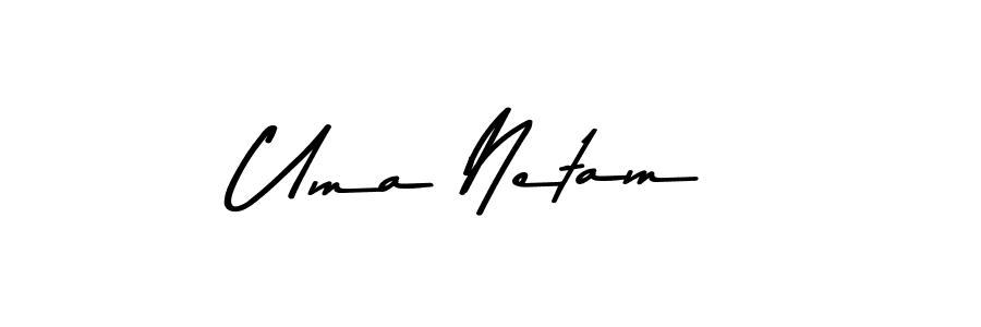 You should practise on your own different ways (Asem Kandis PERSONAL USE) to write your name (Uma Netam) in signature. don't let someone else do it for you. Uma Netam signature style 9 images and pictures png