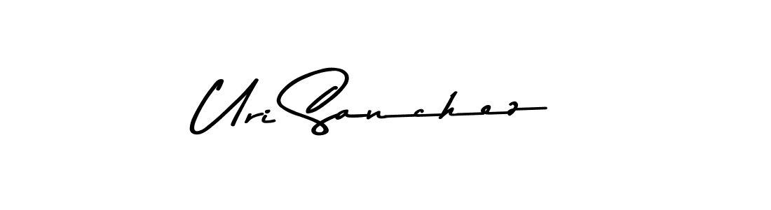 Make a beautiful signature design for name Uri Sanchez. Use this online signature maker to create a handwritten signature for free. Uri Sanchez signature style 9 images and pictures png