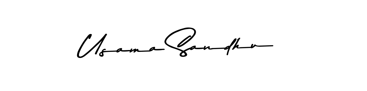 Use a signature maker to create a handwritten signature online. With this signature software, you can design (Asem Kandis PERSONAL USE) your own signature for name Usama Sandhu. Usama Sandhu signature style 9 images and pictures png
